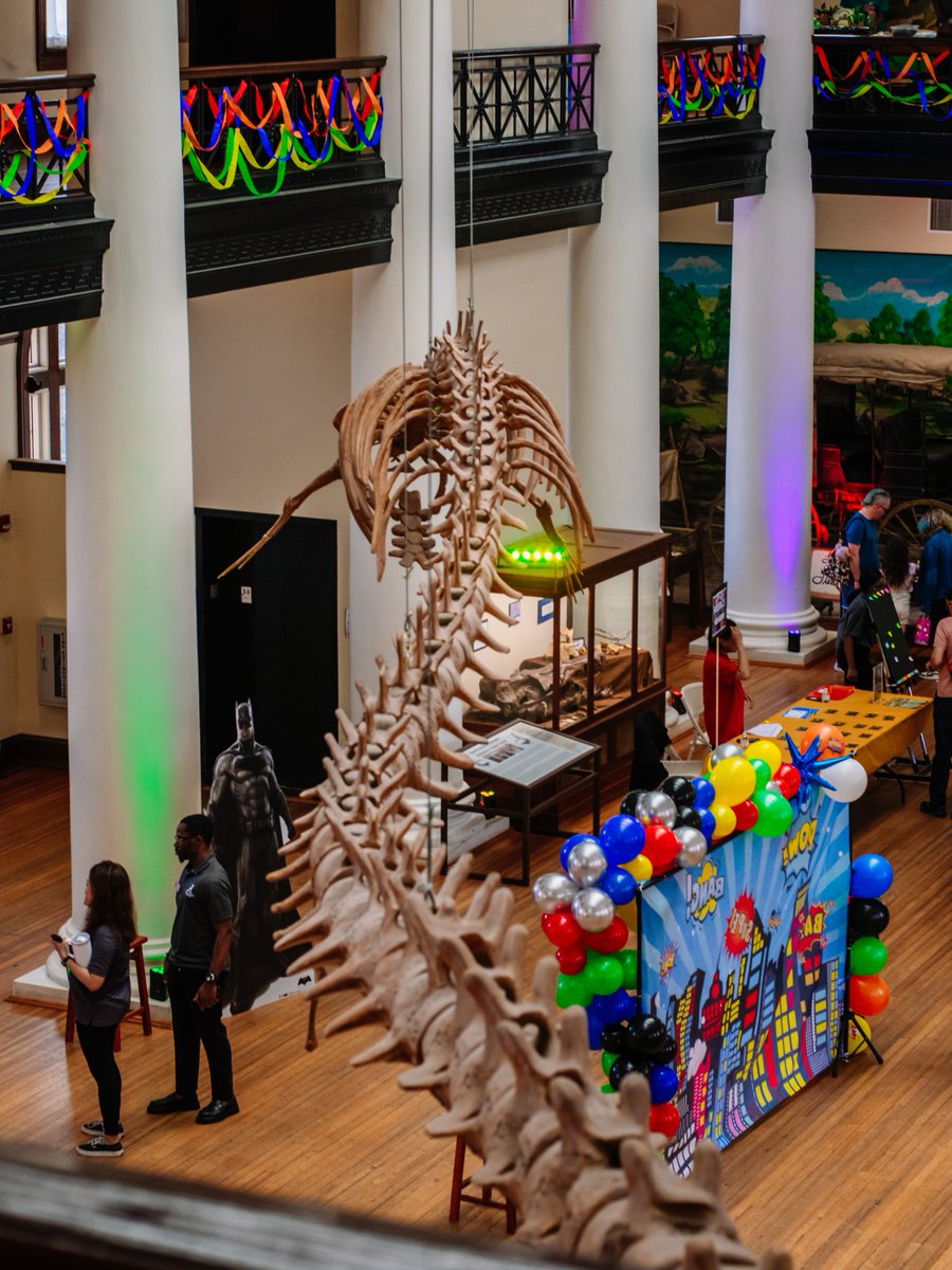 Alabama Museum of Natural History tweet media