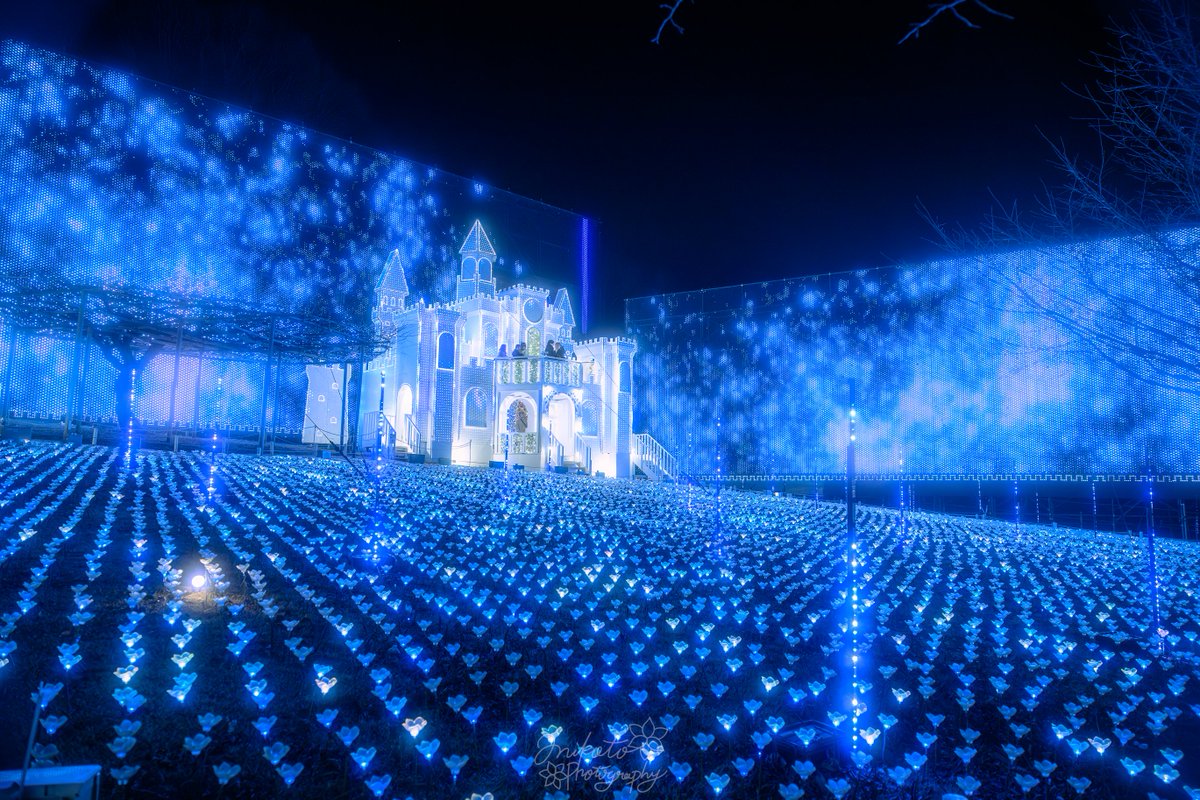 📷：𝙉𝙞𝙠𝙤𝙣 ℤ9 lens：NIKKOR ℤ24-70mm f/2.8 S II 撮影地：栃木