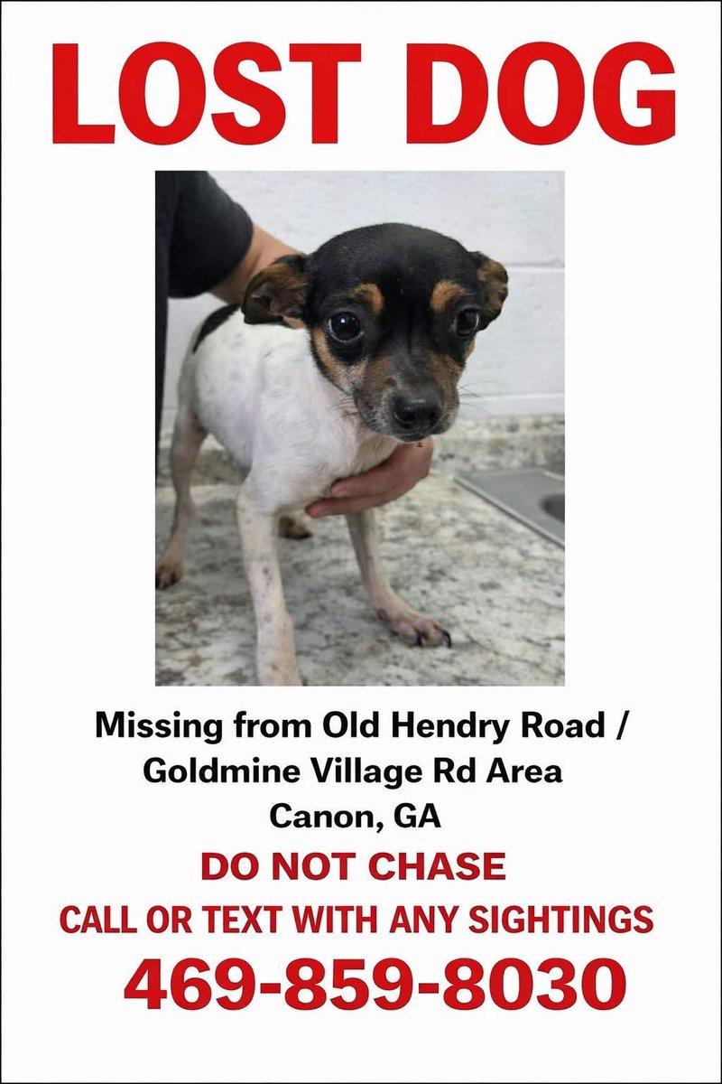 LOST DOG
CANON, GA
PLEASE SHARE 🙏