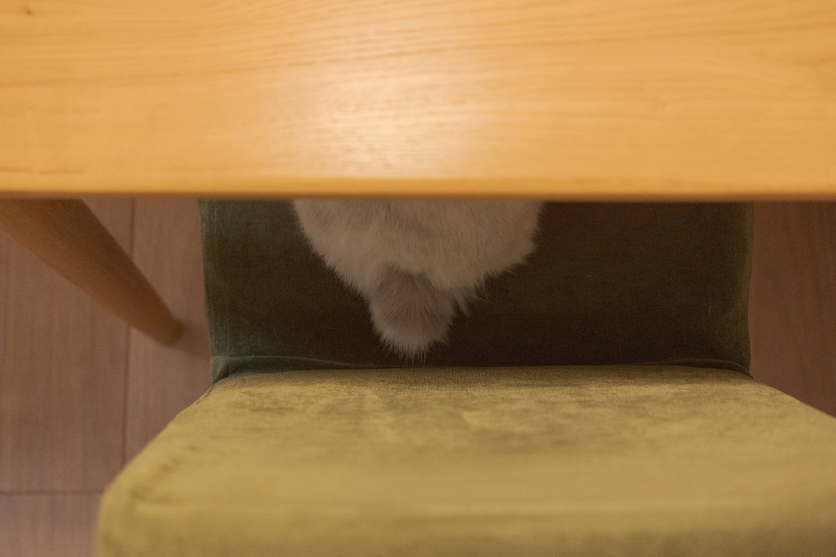 FLUFFLOP 🐰 フラッフロップ (@flufflop) / Posts / X