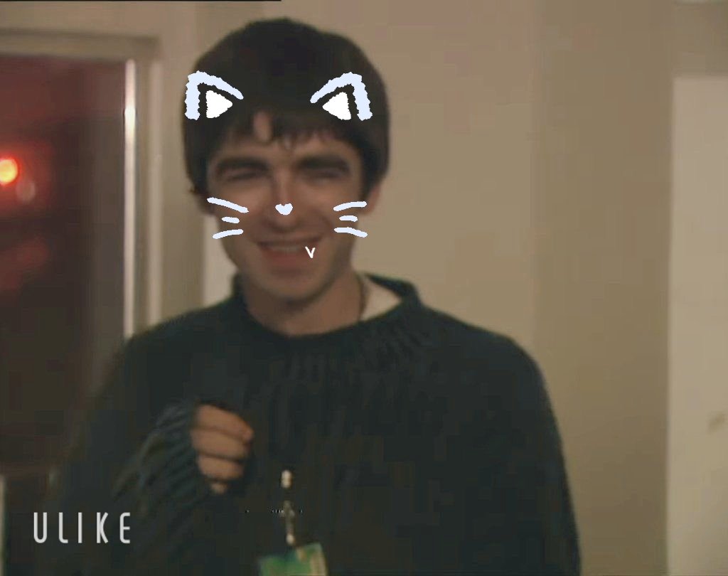 🐾ねこの日🐾