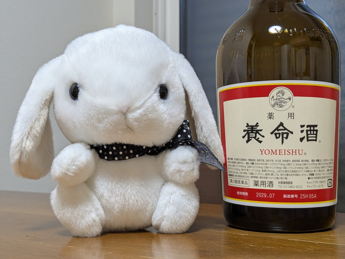 まめたん (@lapin145) / Posts / X