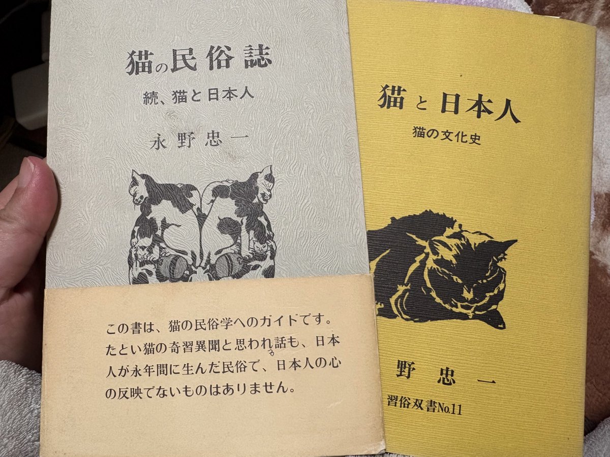 GB/那識あきら＠『九十九の黎明』発売中 (@typ1) / Posts / X