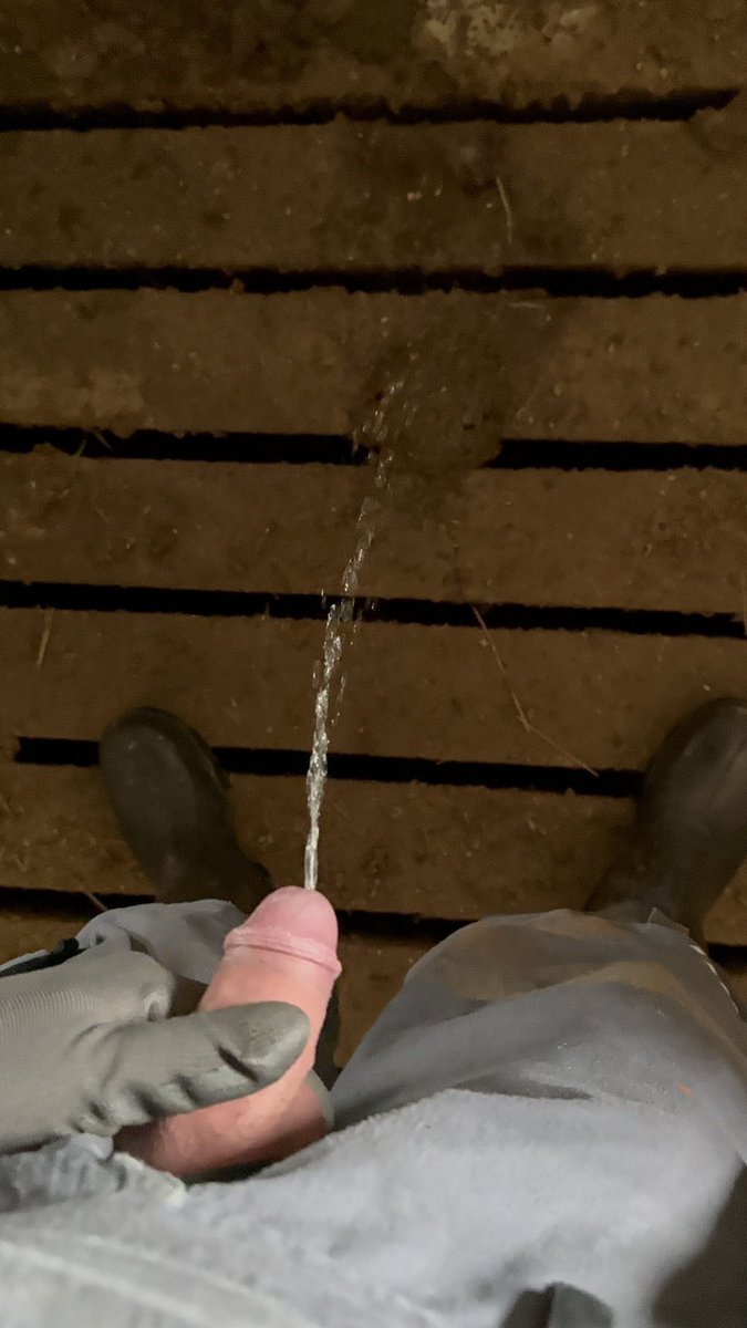 BauernBua tweet media