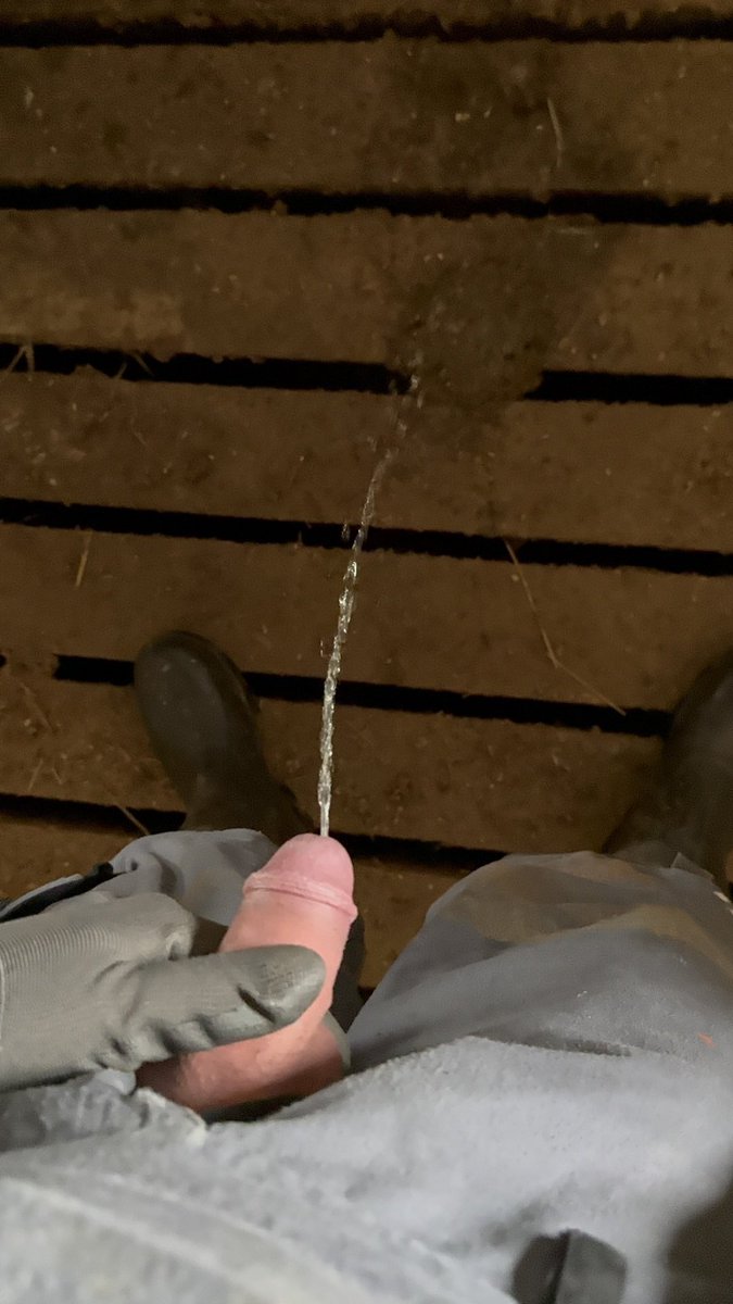 BauernBua tweet media