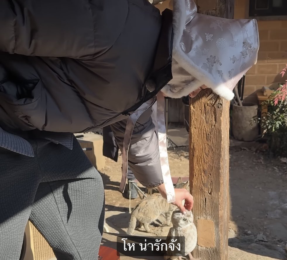 ให้เลย รางวัลขี้งอนอันดับ1 มีภาคต่อคือการชมตุ๊กตานกฮูกต่อหน้าแมวว่า “โห น่ารักจัง”     เพราะมันไม่หนีไปไหนเหมือนแมว 55555555 งอนแบบไม่จบไม่สิ้น