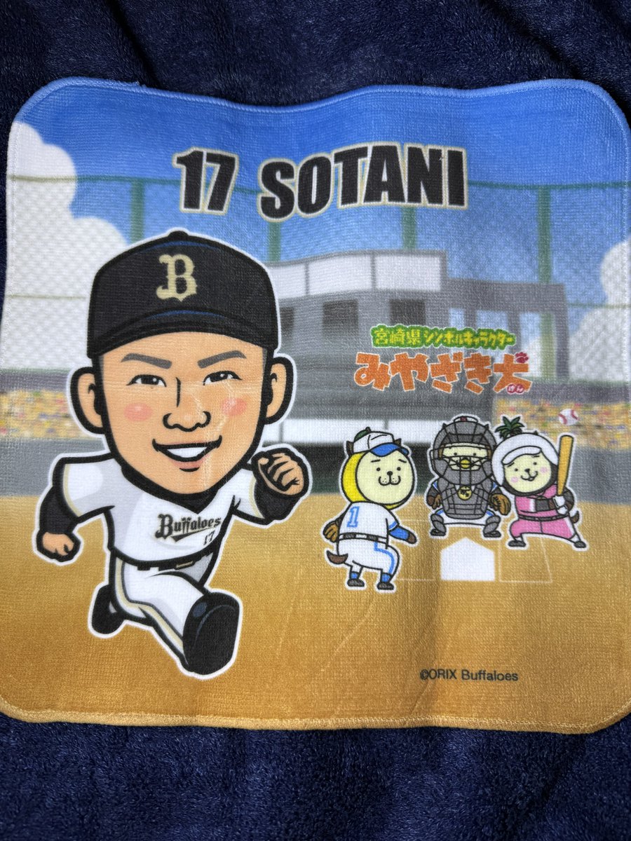 そったんｷﾀ━━━━(ﾟ∀ﾟ)━━━━!!!! #オリックス・バファローズ