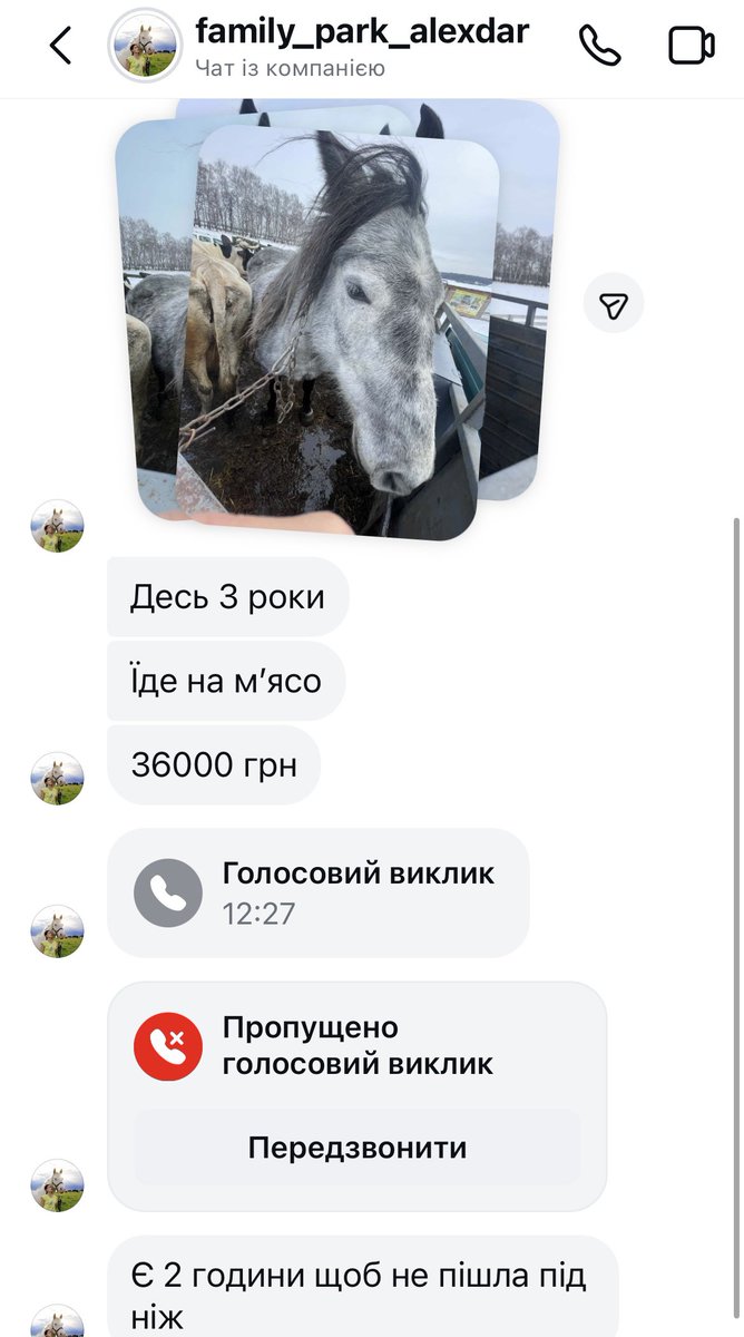 dayleri mello tweet media