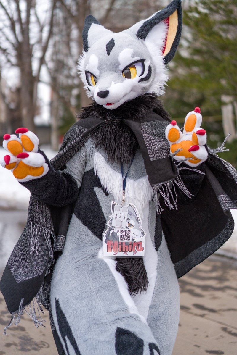 るん (Run) (@run_charizard) / Posts / X