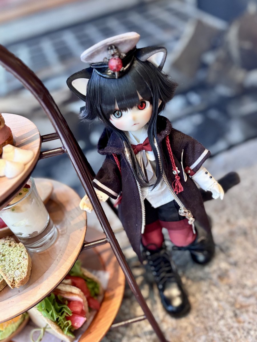 寝落ちる前に…！
くろねこ小夜くん/•᷅•᷄\୭
 #ドールで猫の日
#tinyfox