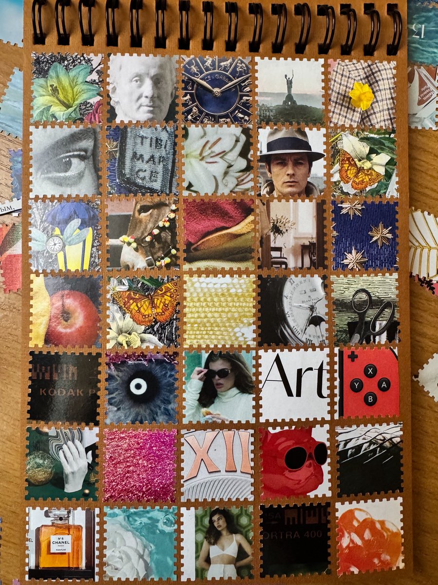 Київська світлярка tweet media