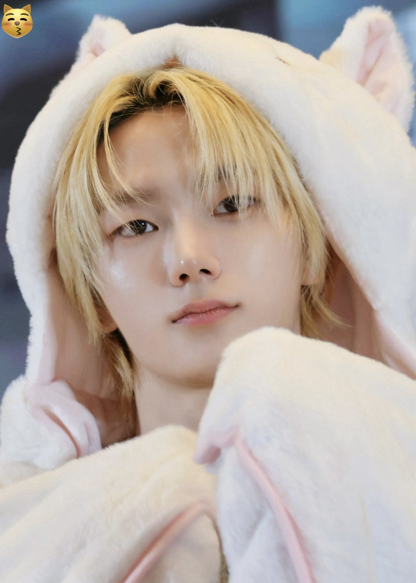 😽👍🏻 tweet media