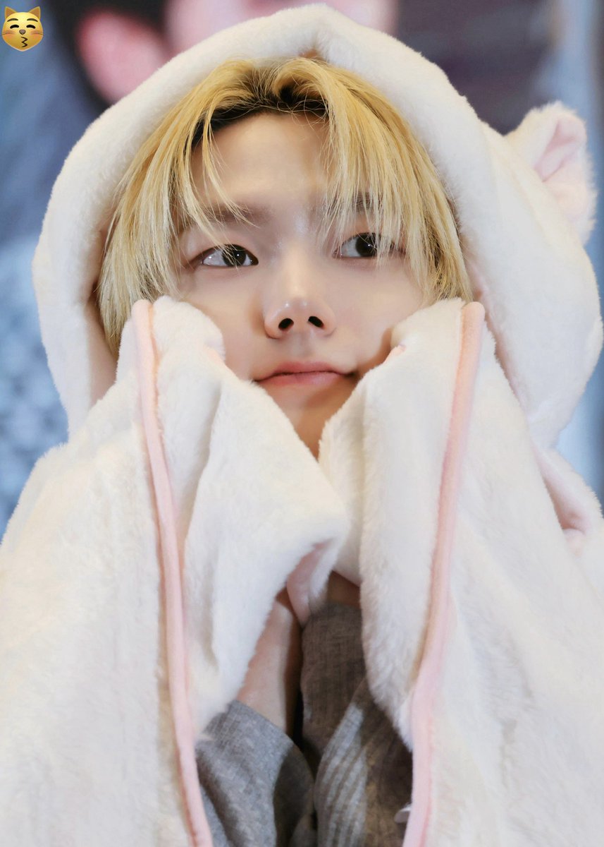 😽👍🏻 tweet media