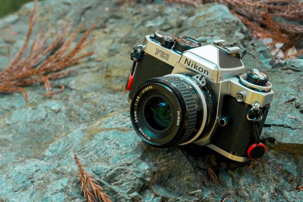 My new gear! Nikon FE2 以前フォロワーさんから借りていたFE2を正式に