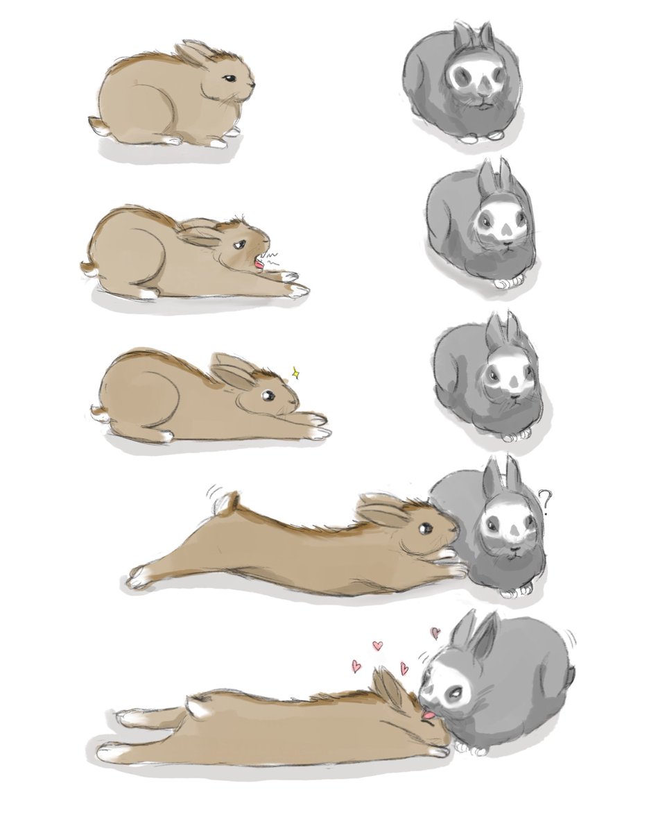 Rice *3D & 2D com open* tweet media