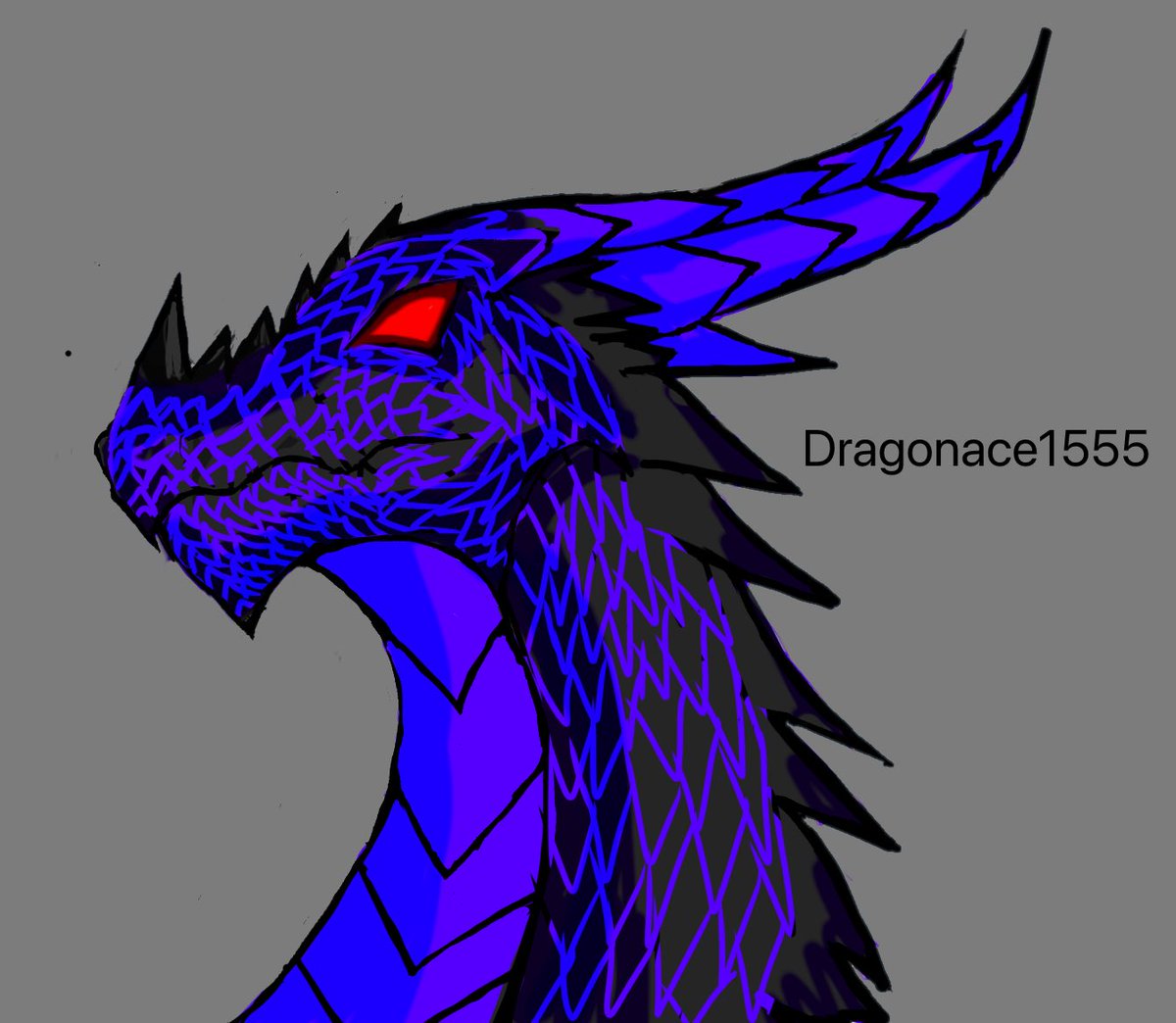 🐉Dragonace1555🐉 tweet media