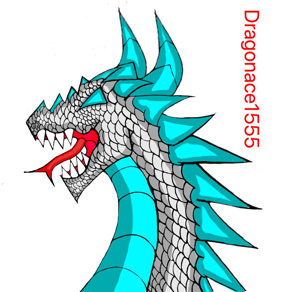 🐉Dragonace1555🐉 tweet media
