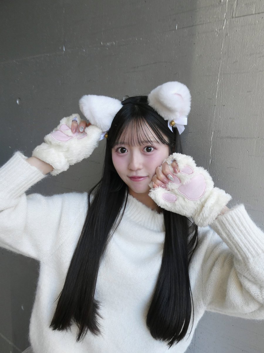 おひさま(#日向坂46 ファン)に是非ともオススメしたい猫ちゃん