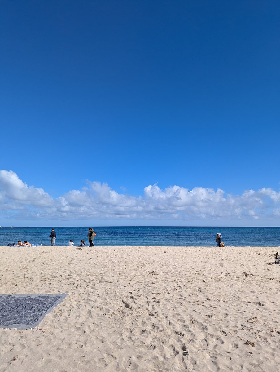 CodinEric tweet media