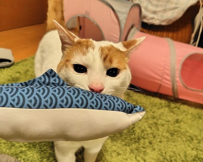 彩葉*Atelier168 (@atelier168) / Posts / X