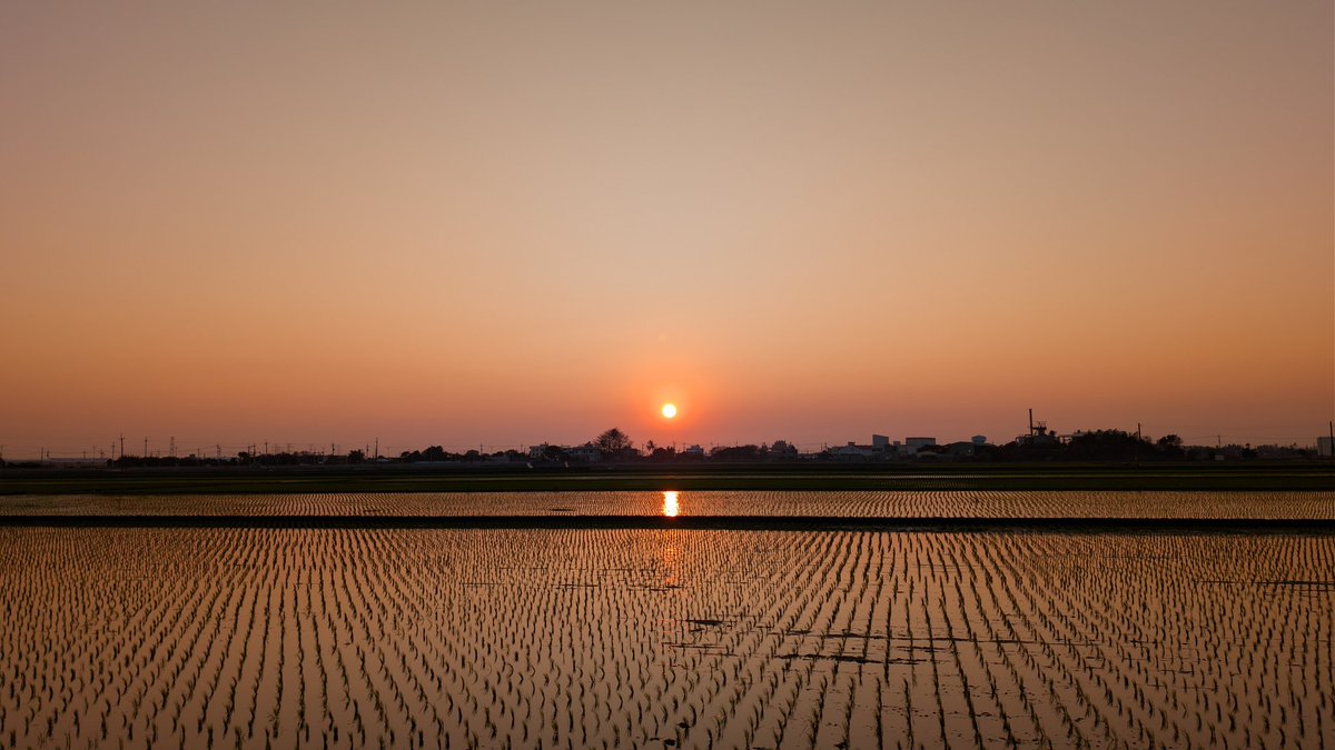 夕陽