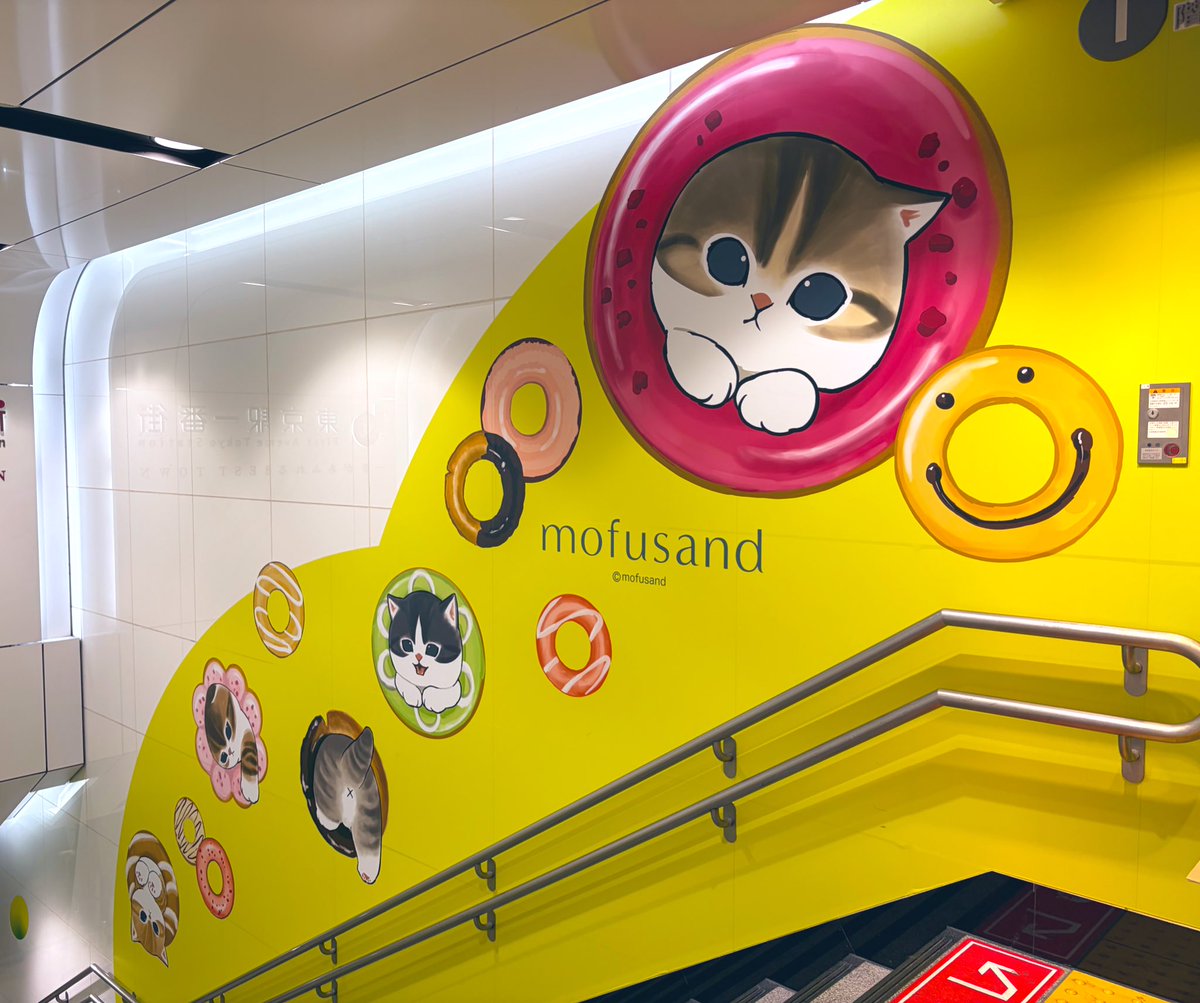 akua@W_Rose フレイア 11/2ワンマンライブ tweet media