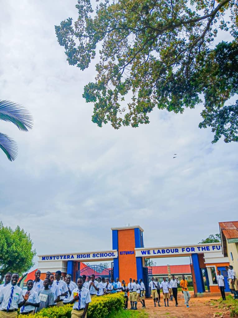 Stubborn_last_born tweet media