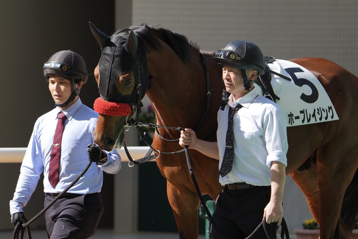 de57802028's tweet image. 2026/02/22 阪神4R 3歳新馬戦
ホープレイジング &amp;amp; 小崎綾也J
(クリソベリル産駒)
小崎憲厩舎
デビューおめでとう✳︎