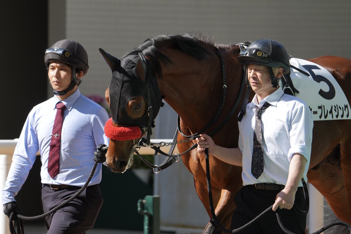 de57802028's tweet image. 2026/02/22 阪神4R 3歳新馬戦
ホープレイジング &amp;amp; 小崎綾也J
(クリソベリル産駒)
小崎憲厩舎
デビューおめでとう✳︎