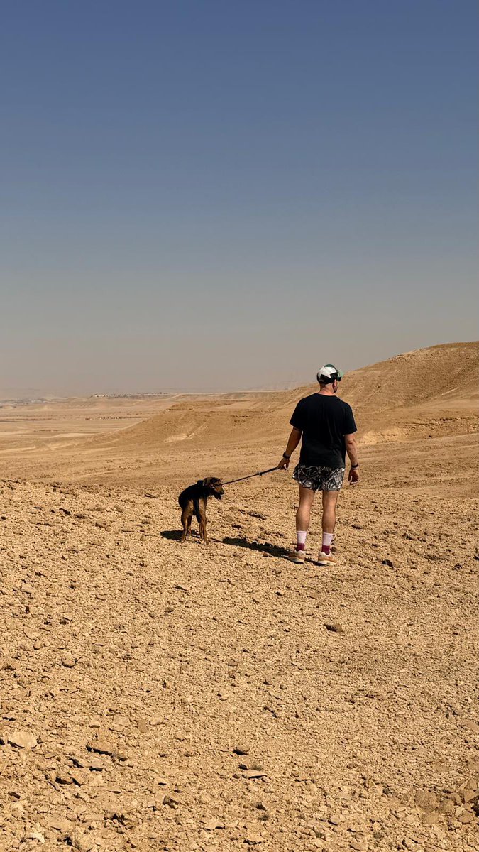 Clementine Stewart tweet media