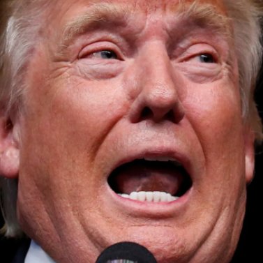 DonkConnects ♻️™ tweet media