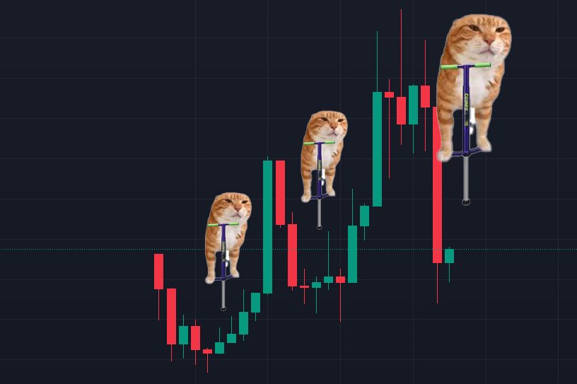 Ayman 🤴🏽 tweet media