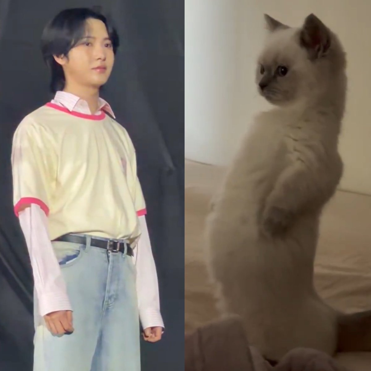 ก็บอกว่าเหมือนอินจุนมาก นี่ไง ยืนแอ่นพุงใส่กัน555