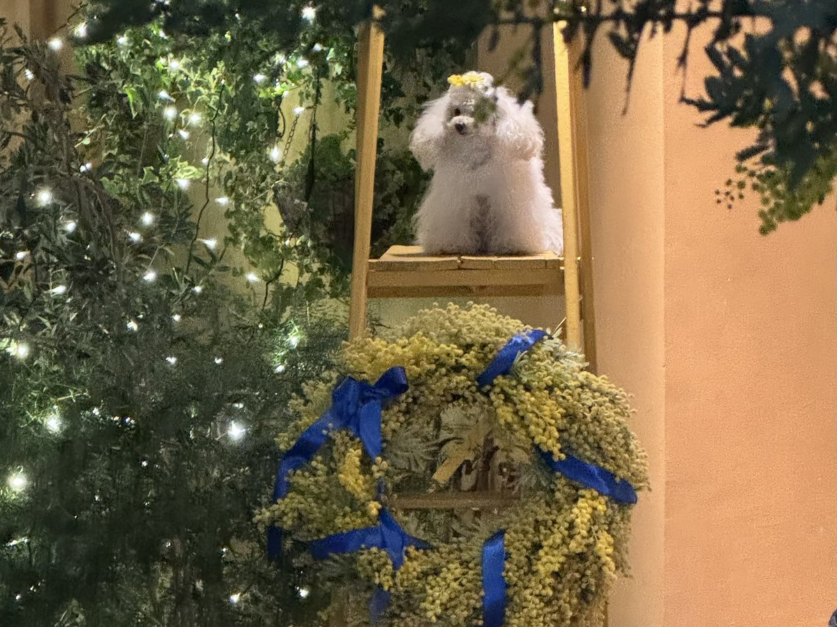 coco (@coco_coco_chan) / Posts / X