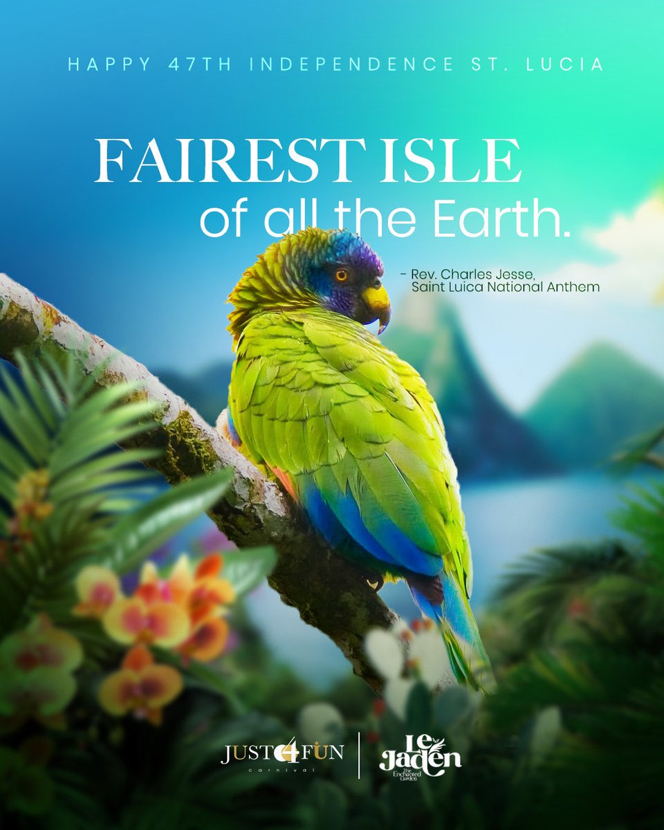 Just4Fun Carnival tweet media