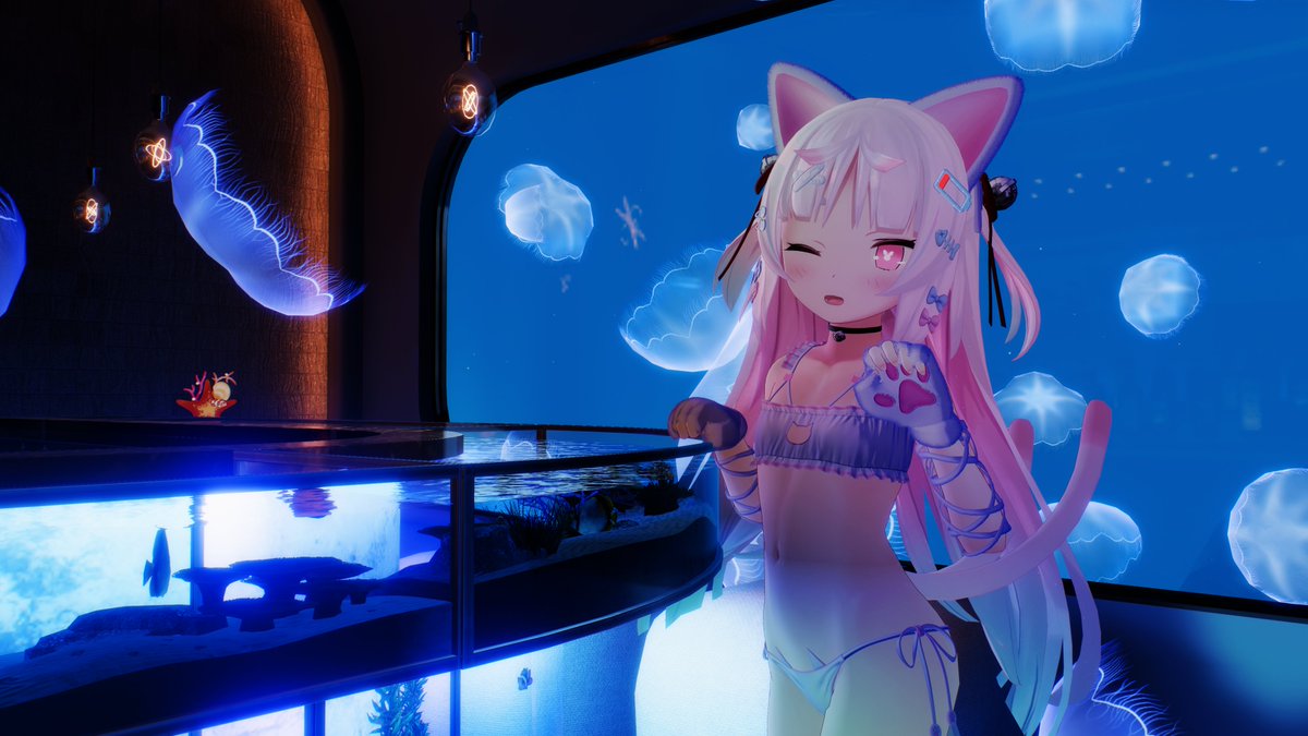 Post by 白瀬きりたんX on X: にゃん🐾