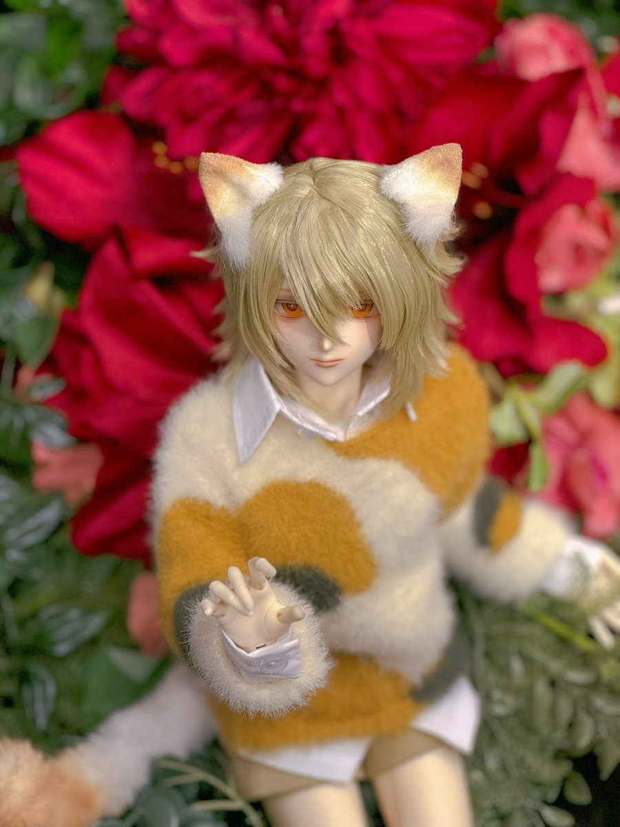 猫の日！
（很久的老照片了哈哈哈哈）