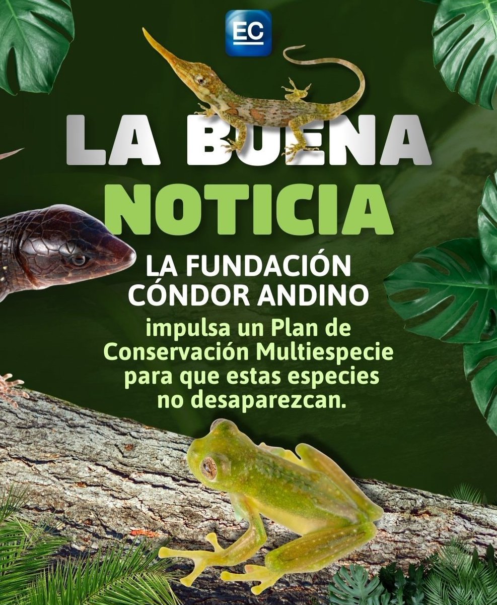 Fernando Ayala tweet media