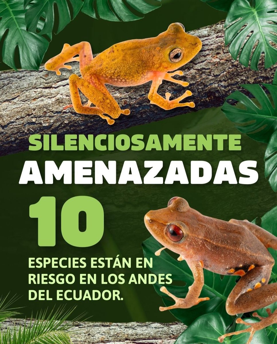 Fernando Ayala tweet media