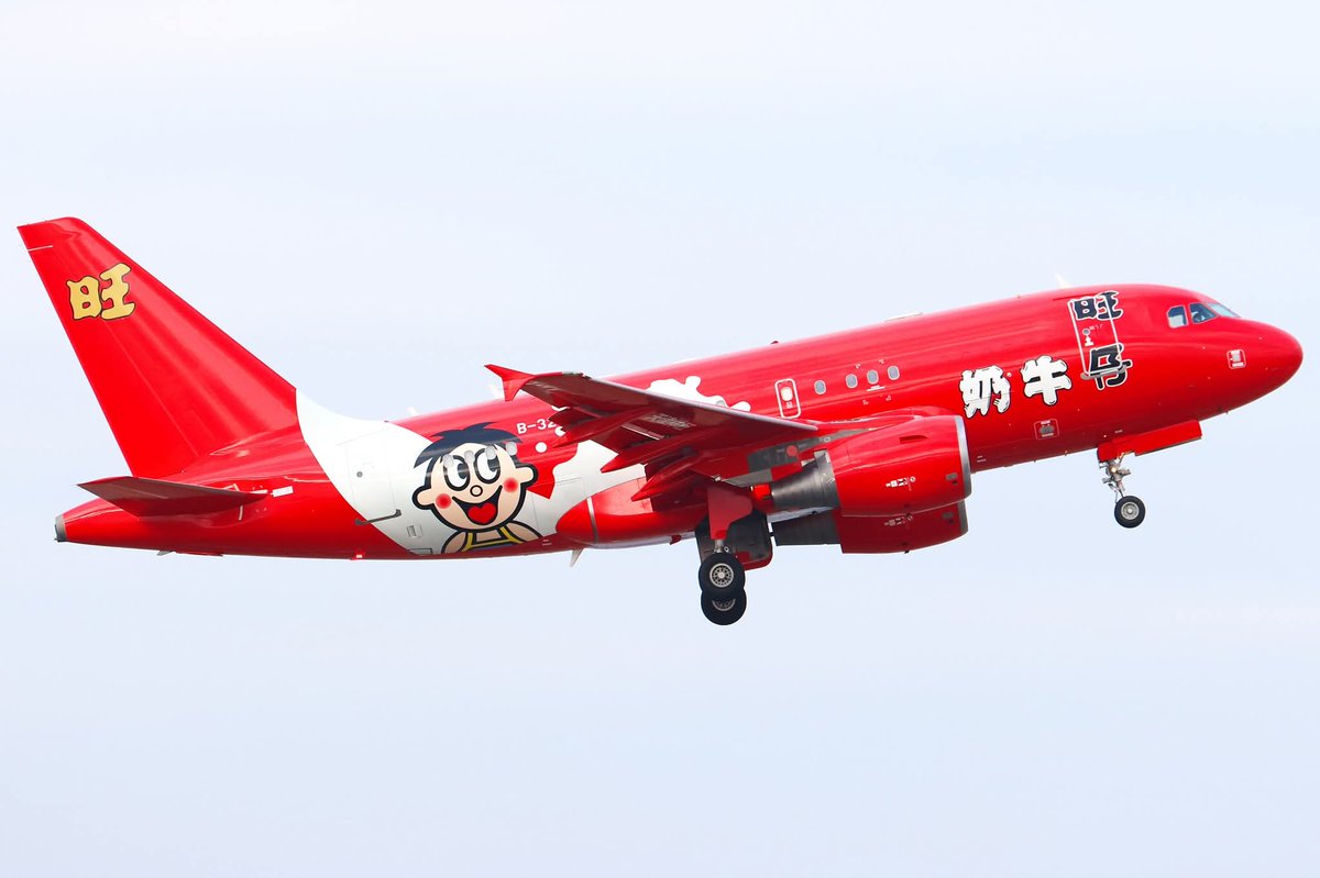 主翼や水平尾翼まで真っ赤という強烈な塗装が特徴的な旺旺集團の318