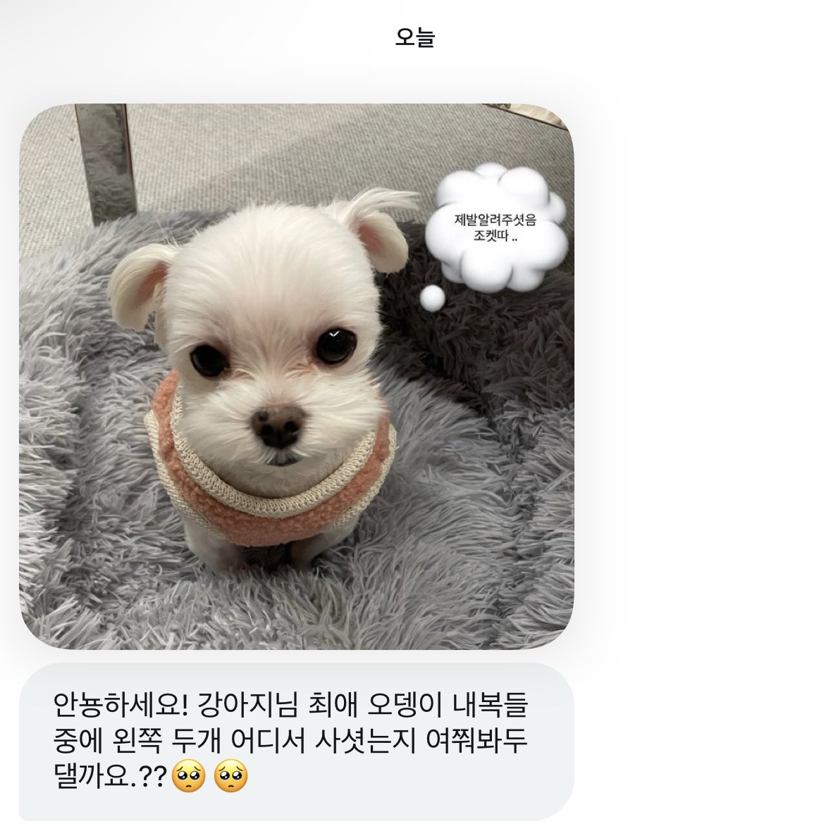 Noopppp_y's tweet photo. 강아지들을 위해 공유하는 내복정보 🐾 https://t.co/XggoPzQESC