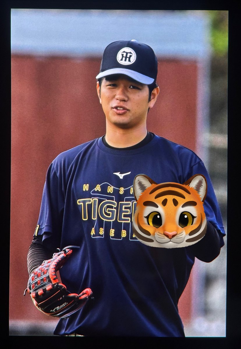 260222 宜野座キャンプ #髙橋遥人 #高橋遥人 #阪神タイガース #阪神