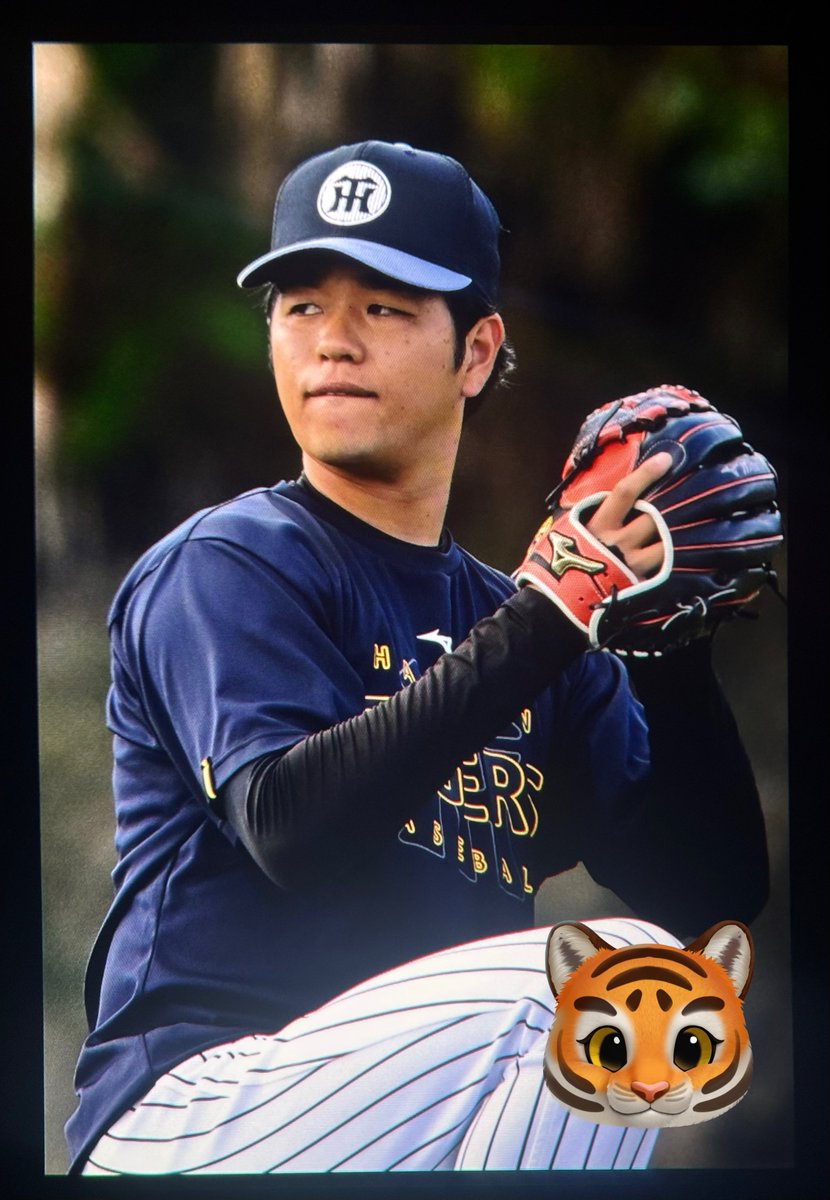 260222 宜野座キャンプ #髙橋遥人 #高橋遥人 #阪神タイガース #阪神