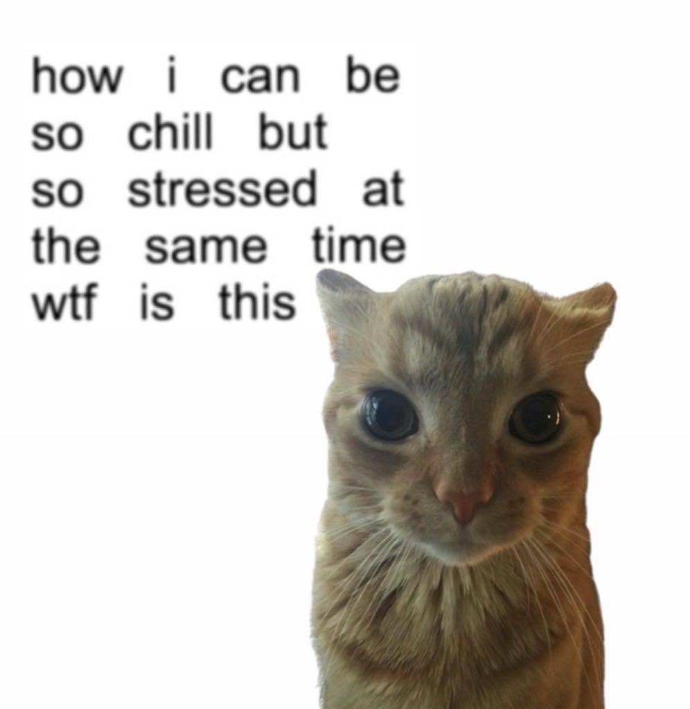 Dante (@imydante) on Twitter photo 