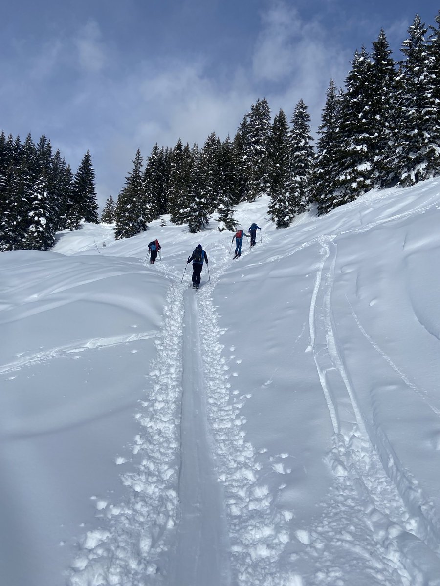 Peter Bußjäger tweet media