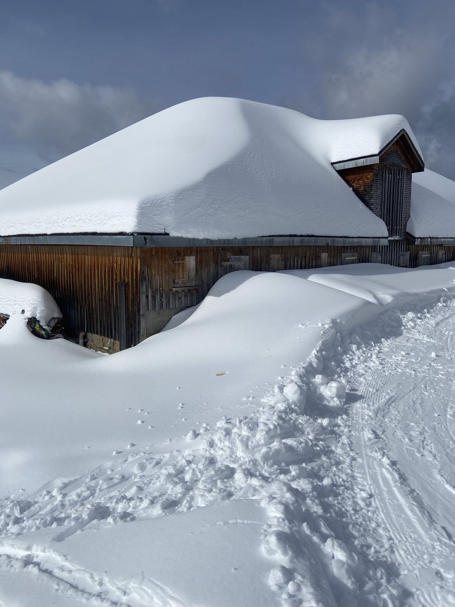 Peter Bußjäger tweet media