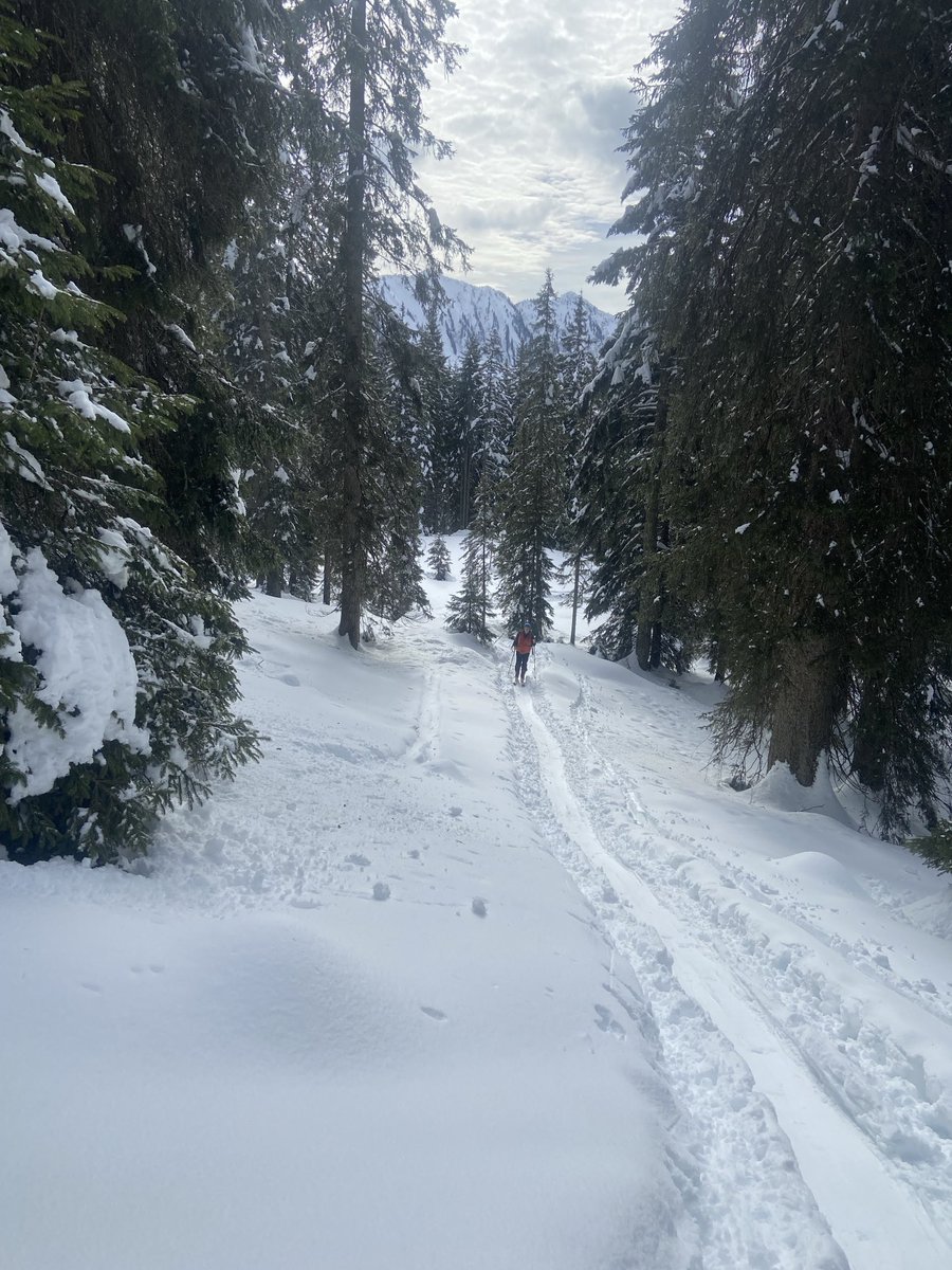 Peter Bußjäger tweet media