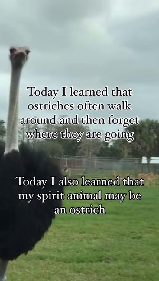 Papa Woof und Krampus und Bleaken (@woofknight) on Twitter photo 