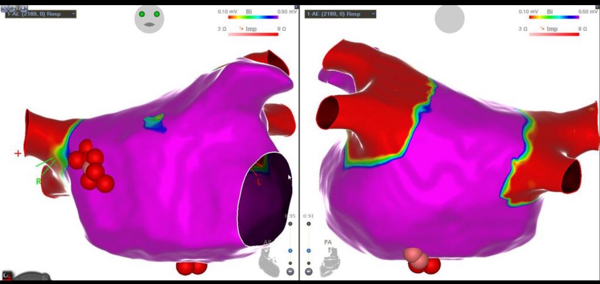 Adriano Kochi tweet media