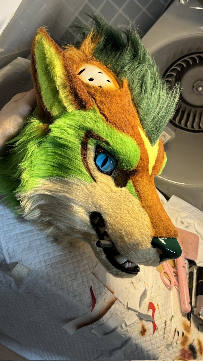 Qiuqiu秋秋 tweet media